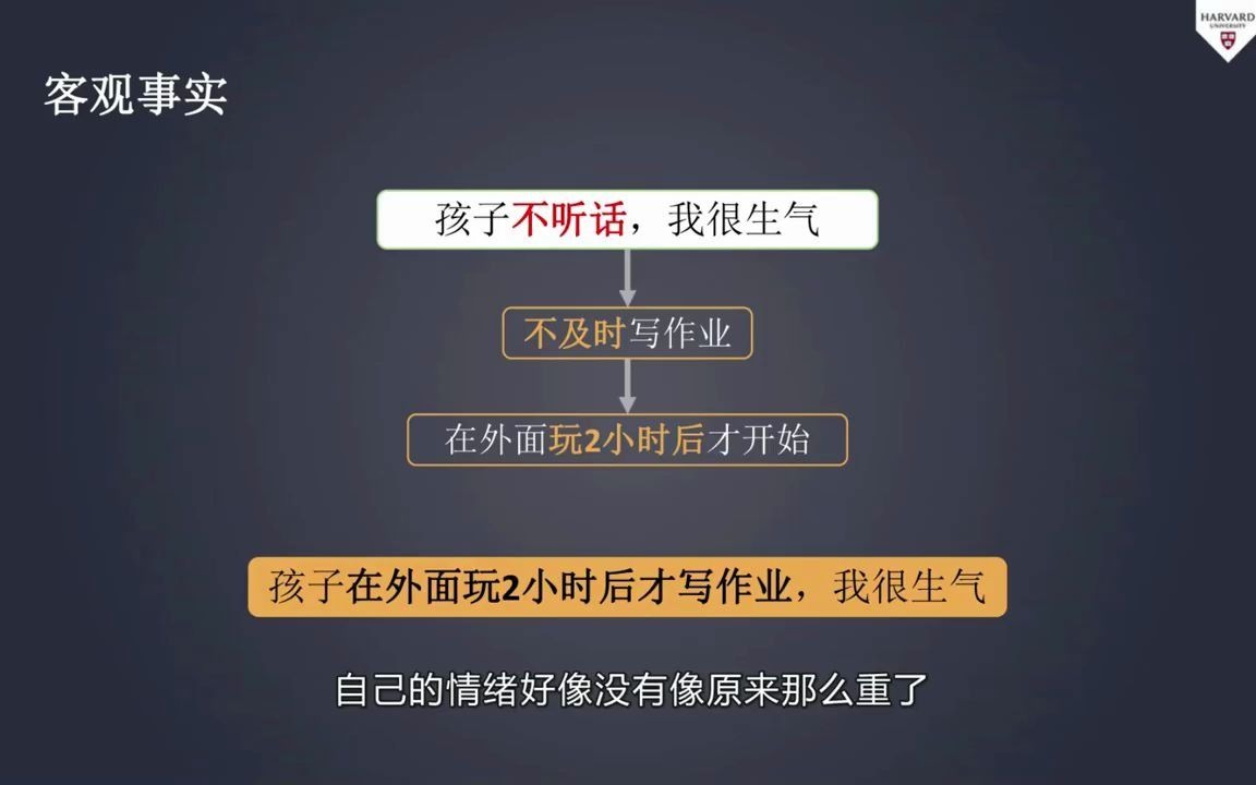 哈佛学霸的大脑开窍术  10. 构建思辨能力哔哩哔哩bilibili