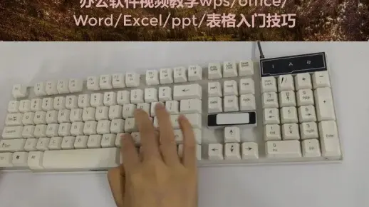 小白学电脑办公表格，Word表格制作教程，老师一步一步教会你