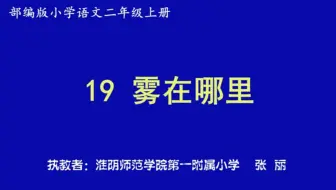 【获奖】部编版二年级语文上册_19 雾在哪里-张老师优质课视频公开比赛教学