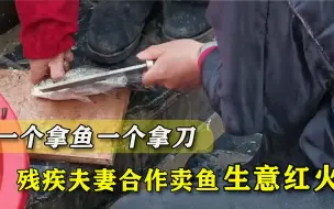 Tải video: 丈夫没右手，妻子左手萎缩，两人合作卖鱼生意红火，离了谁都不行