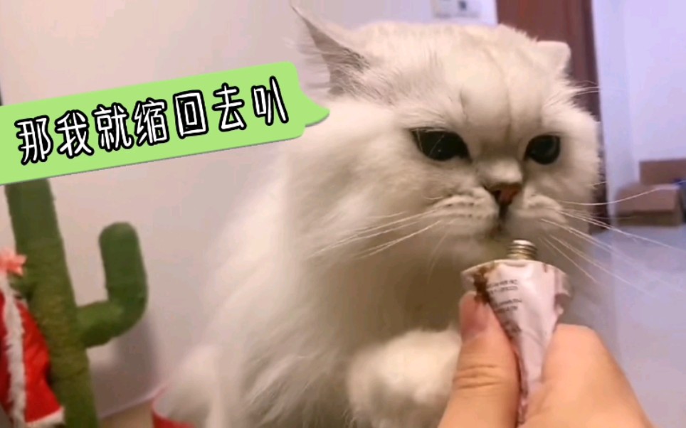 【花少北&花生米】花生米好可爱!
