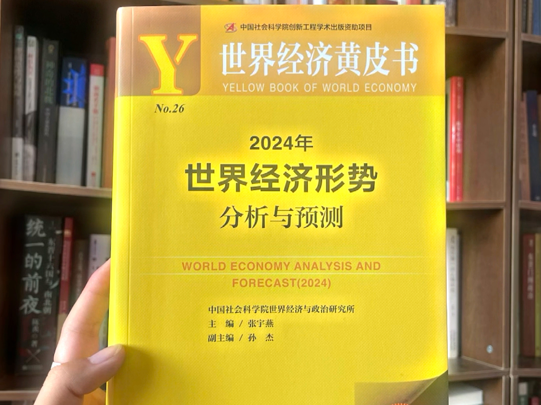 2024世界经济形势!分析与预测!每年闭眼入的系列!信息量极大!简直是上帝视角!哔哩哔哩bilibili