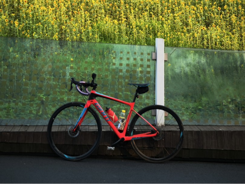 成都绿道城东段-城西段骑行 part.