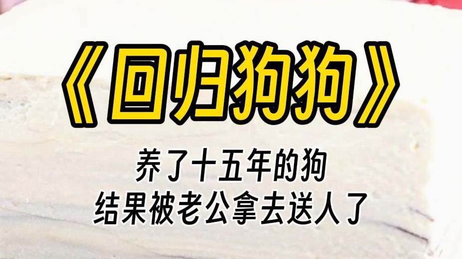 【回归狗狗】养了十五年的狗,竟然被老公拿去送人了.小孩子喜欢狗,你就给他养啊.以前你养狗就算了,现在你都怀孕了,你怎么还想养狗!哔哩哔哩...