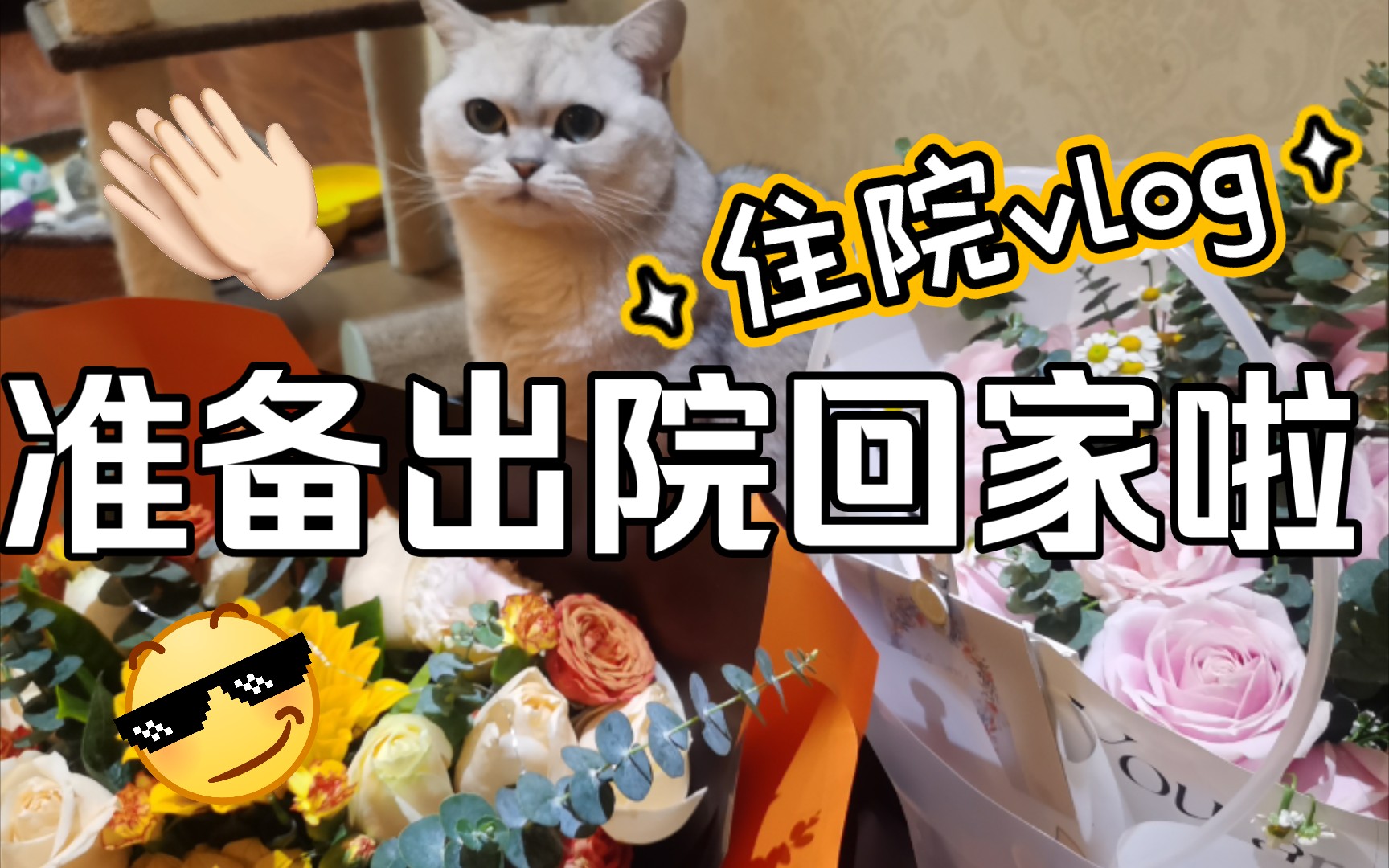 【住院日记五】最终篇,终于可以出院回家啦