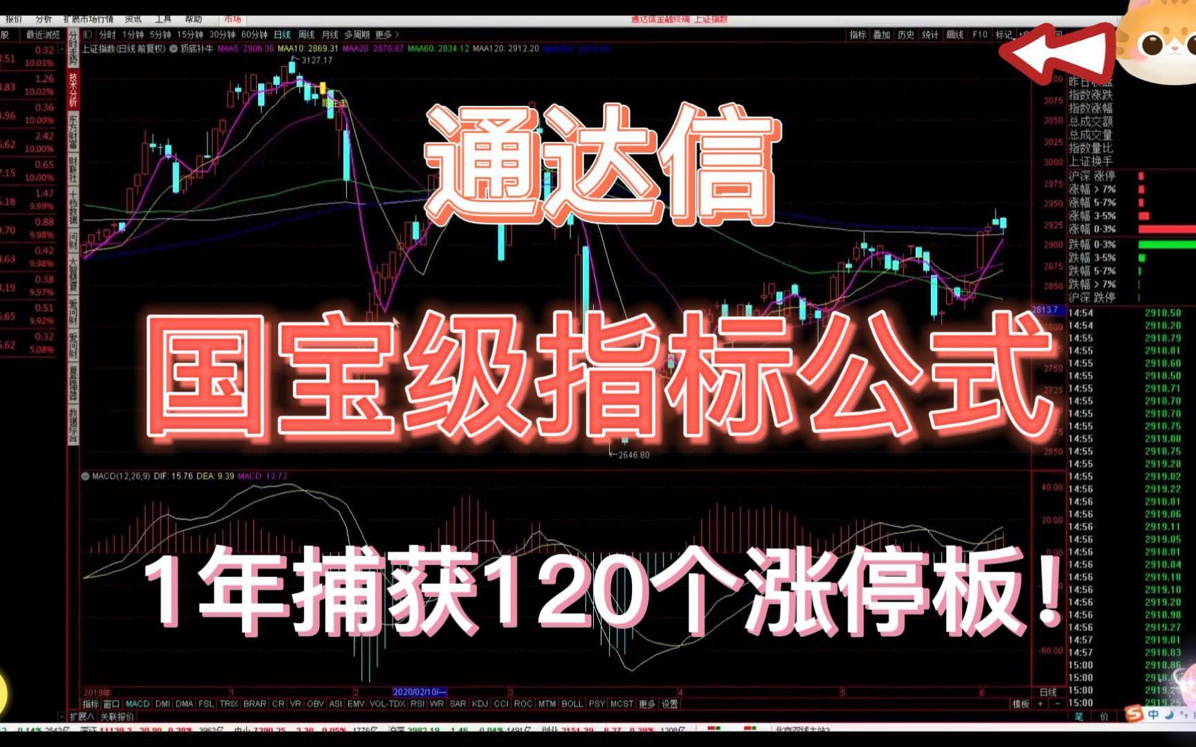 通/达/信【国宝级】指标公式,1年带你捕获120个涨停板!涨知识系列!哔哩哔哩bilibili