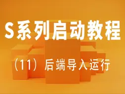 Download Video: S系列启动教程11：后端项目的导入和运行