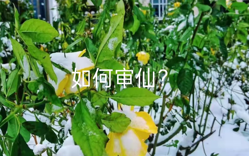 如何审仙及和仙家沟通不了哔哩哔哩bilibili