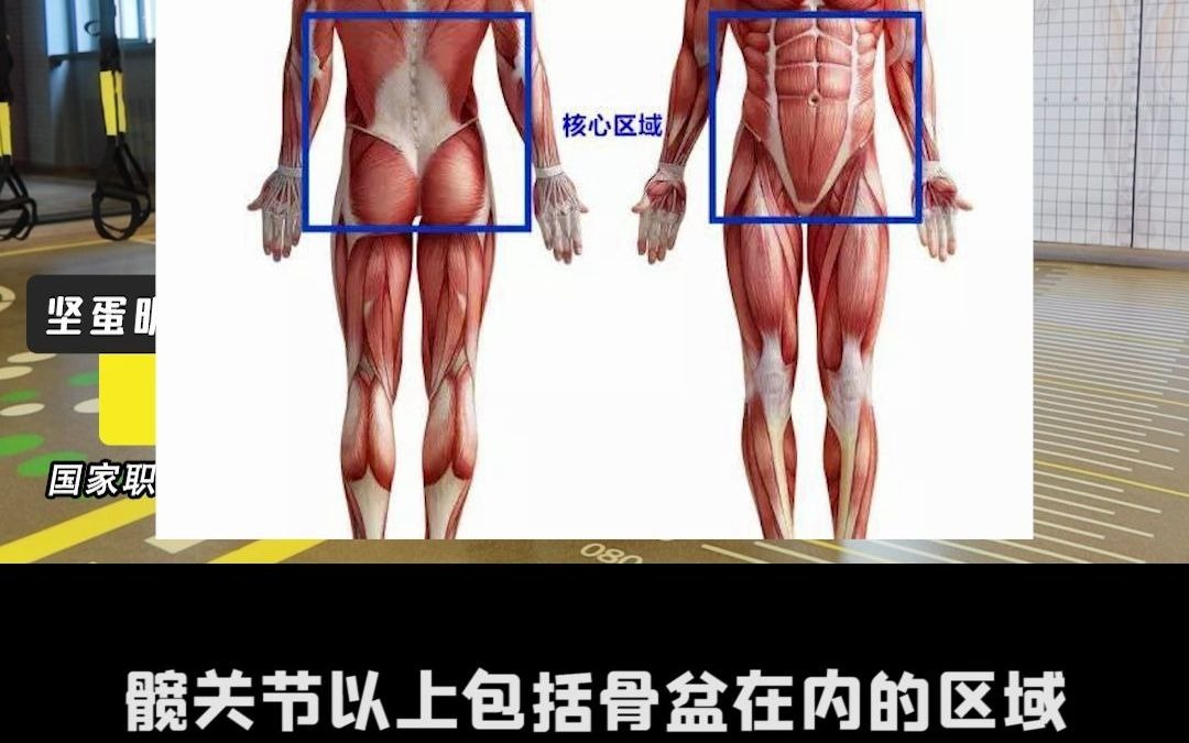 教练常说的 核心收紧 到底是什么意思?哔哩哔哩bilibili