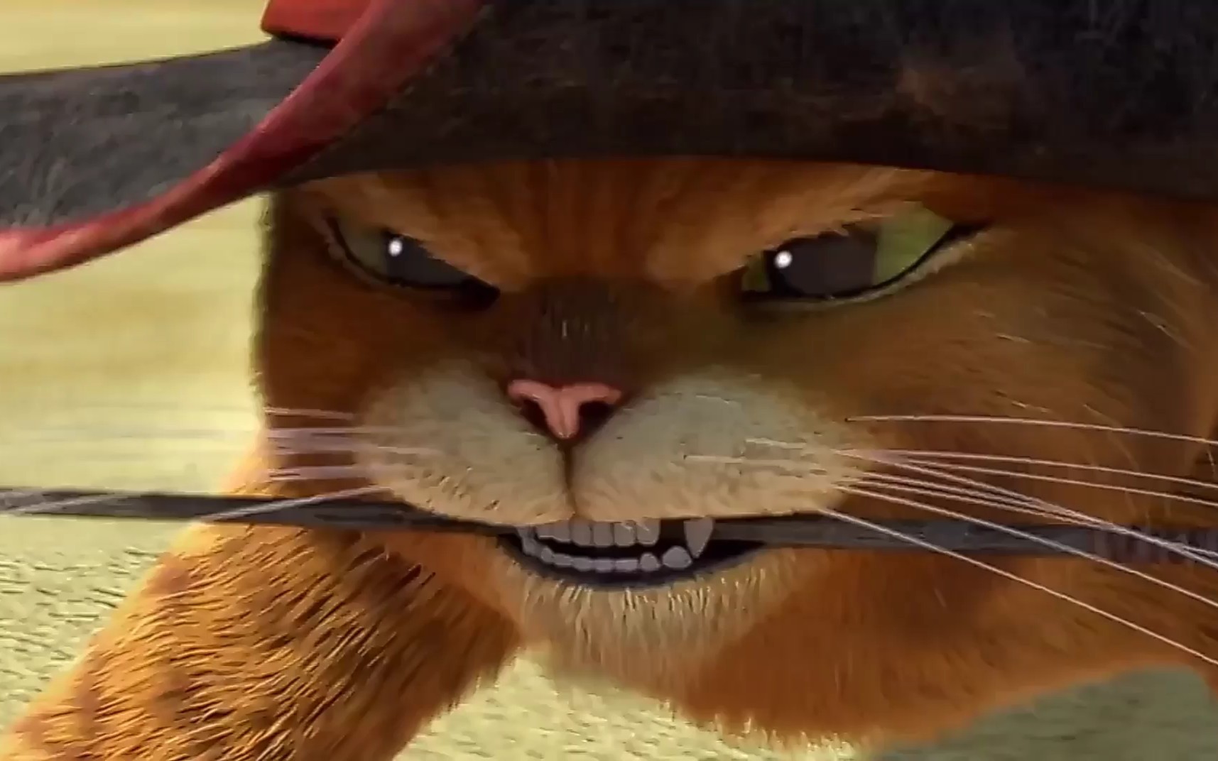 穿靴子的猫帅气打斗