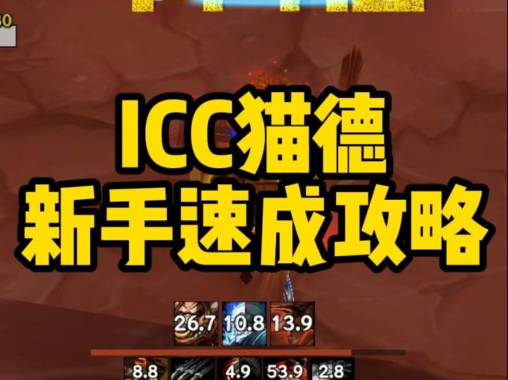 魔兽世界巫妖王之怒,ICC猫德新手速成攻略,手把手教你怎么玩好猫德.魔兽世界