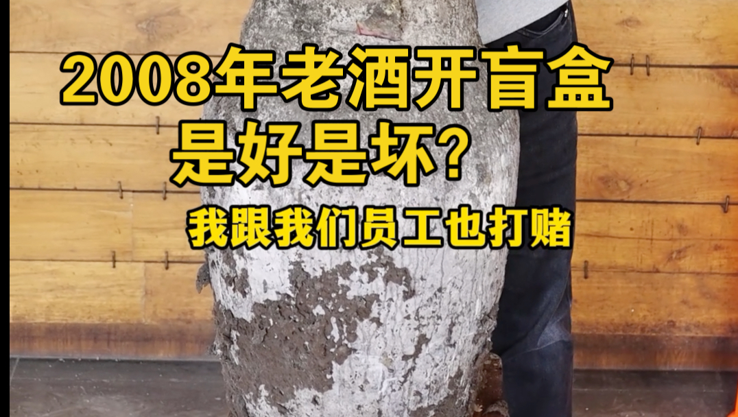 2008年绍兴大坛花雕酒开坛,开老酒就像开盲盒,一起预测一下!哔哩哔哩bilibili