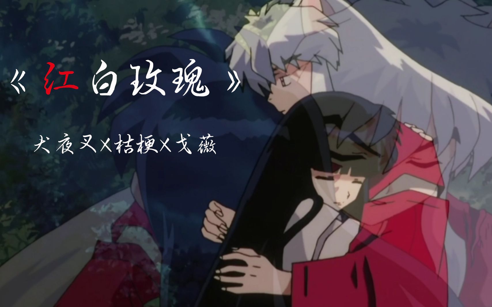 【犬夜叉x红白玫瑰】犬夜叉和桔梗的羁绊永远不会断,但与戈薇的相遇