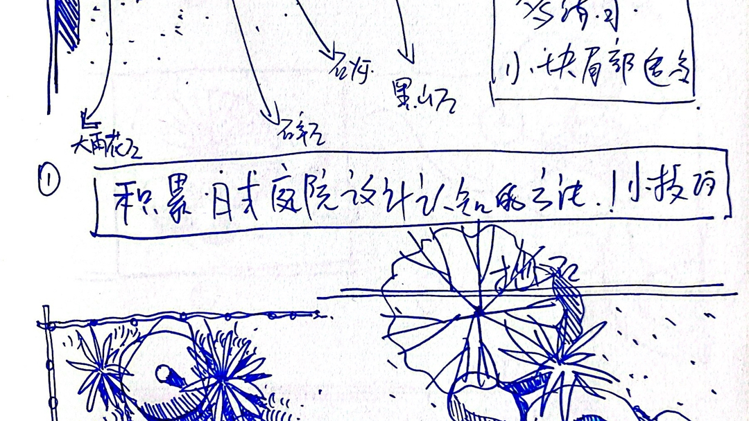 日式枯山水庭院手繪課開始了幾周的直播演示手稿