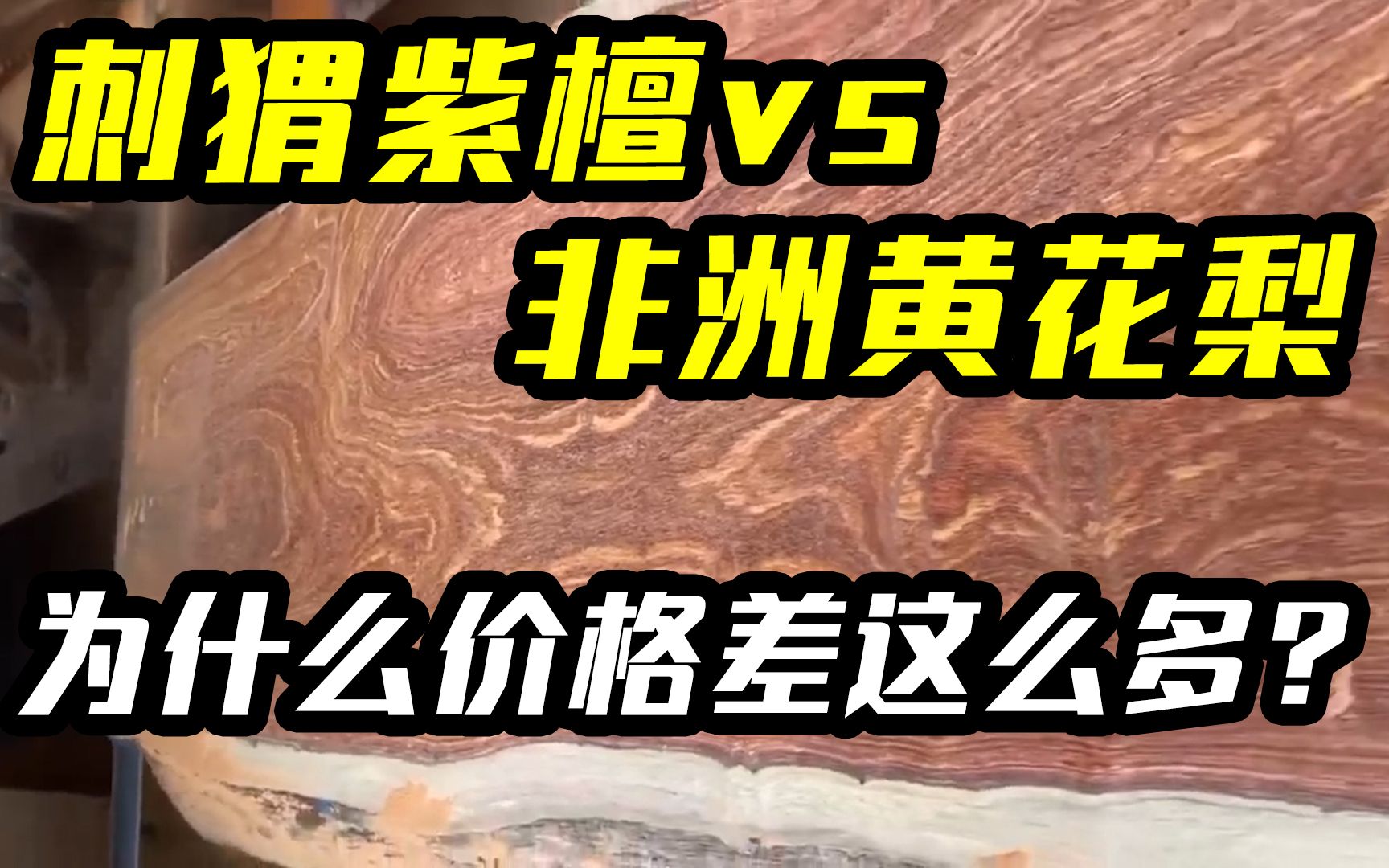 刺猬紫檀和非洲黄花梨,为什么价格差这么多?从原料、做工来分析,讲明白了!哔哩哔哩bilibili