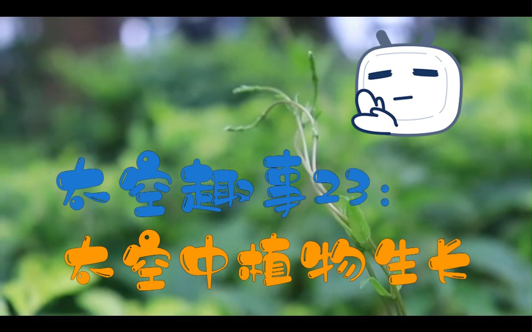 太空趣事23:太空中植物生长哔哩哔哩bilibili