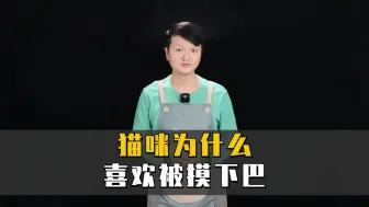 Video herunterladen: 猫咪为什么喜欢被摸下巴？