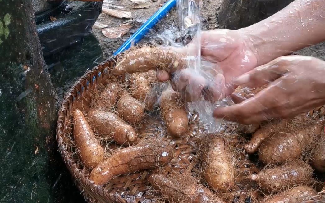 海南特色甜薯甩,茂哥茂嫂做100颗,一次吃一盆,不愧是吃货