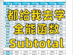 下载视频: 怎么才学会这么全能的subtotal函数啊！😭