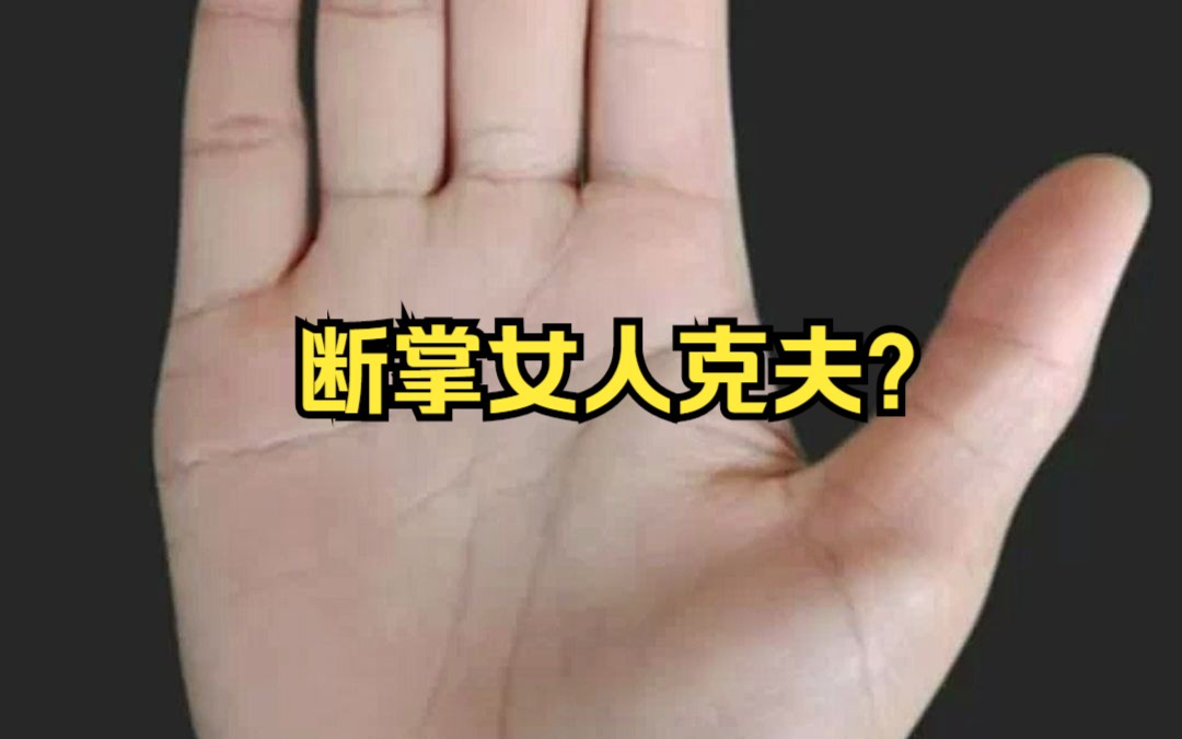 断掌女人克夫?哔哩哔哩bilibili