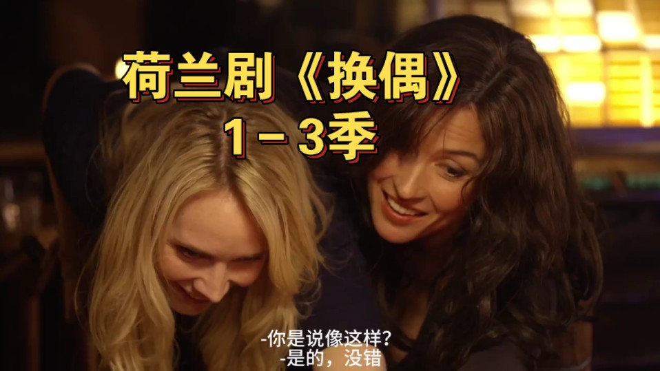 荷兰剧《换偶》1-3季超清中字全集百度网盘已整理