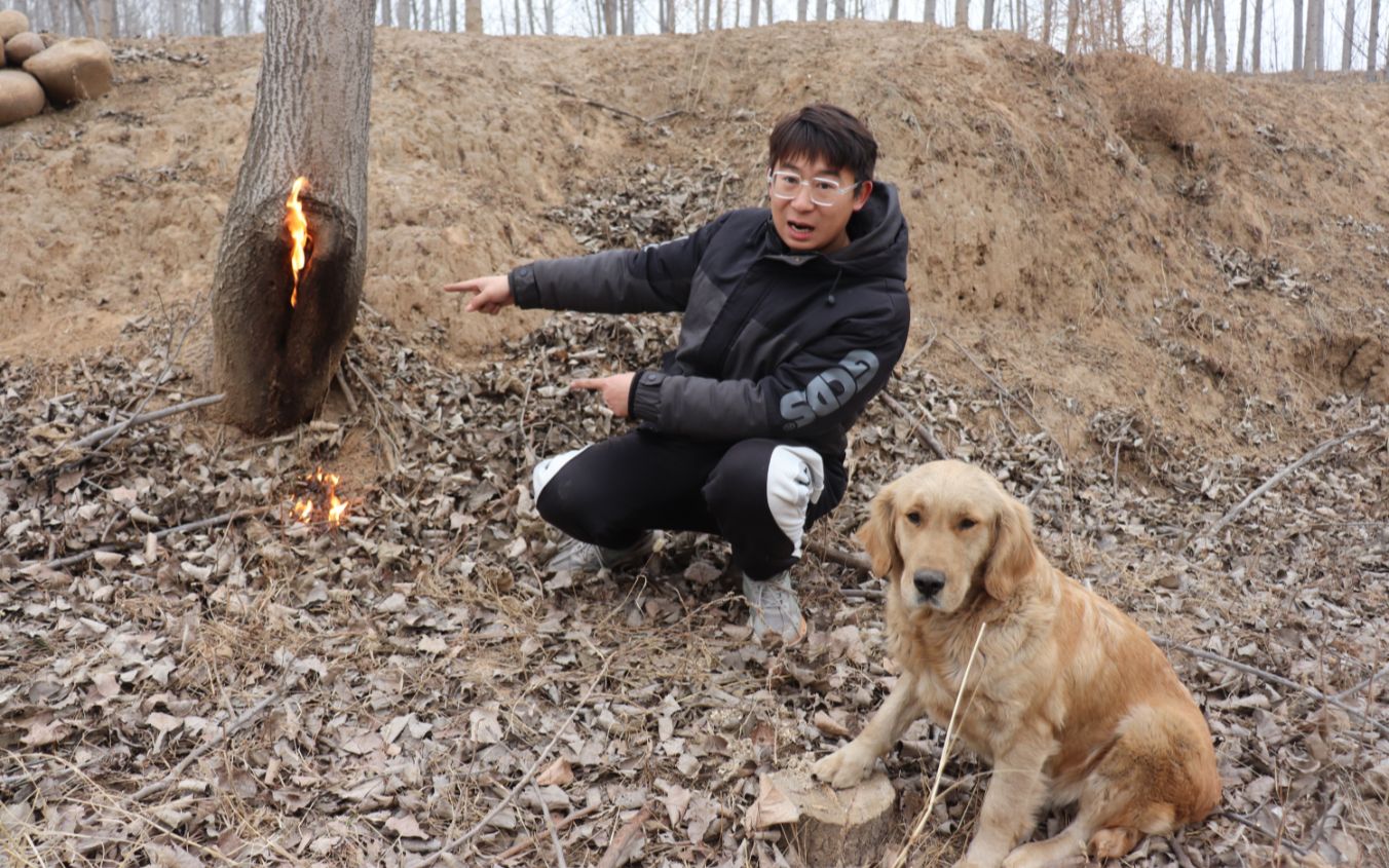 [图]一棵树的树洞里着火，小亮扑灭后很疑惑，这火是人为还是自然引发？