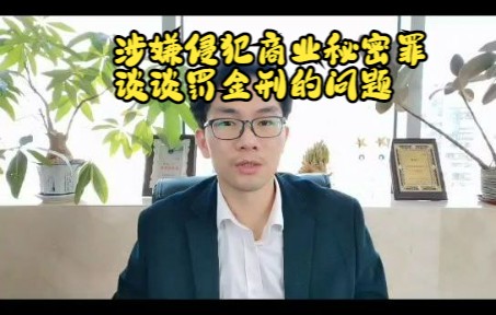 何国铭律师:涉嫌侵犯商业秘密罪,简谈罚金刑的问题哔哩哔哩bilibili