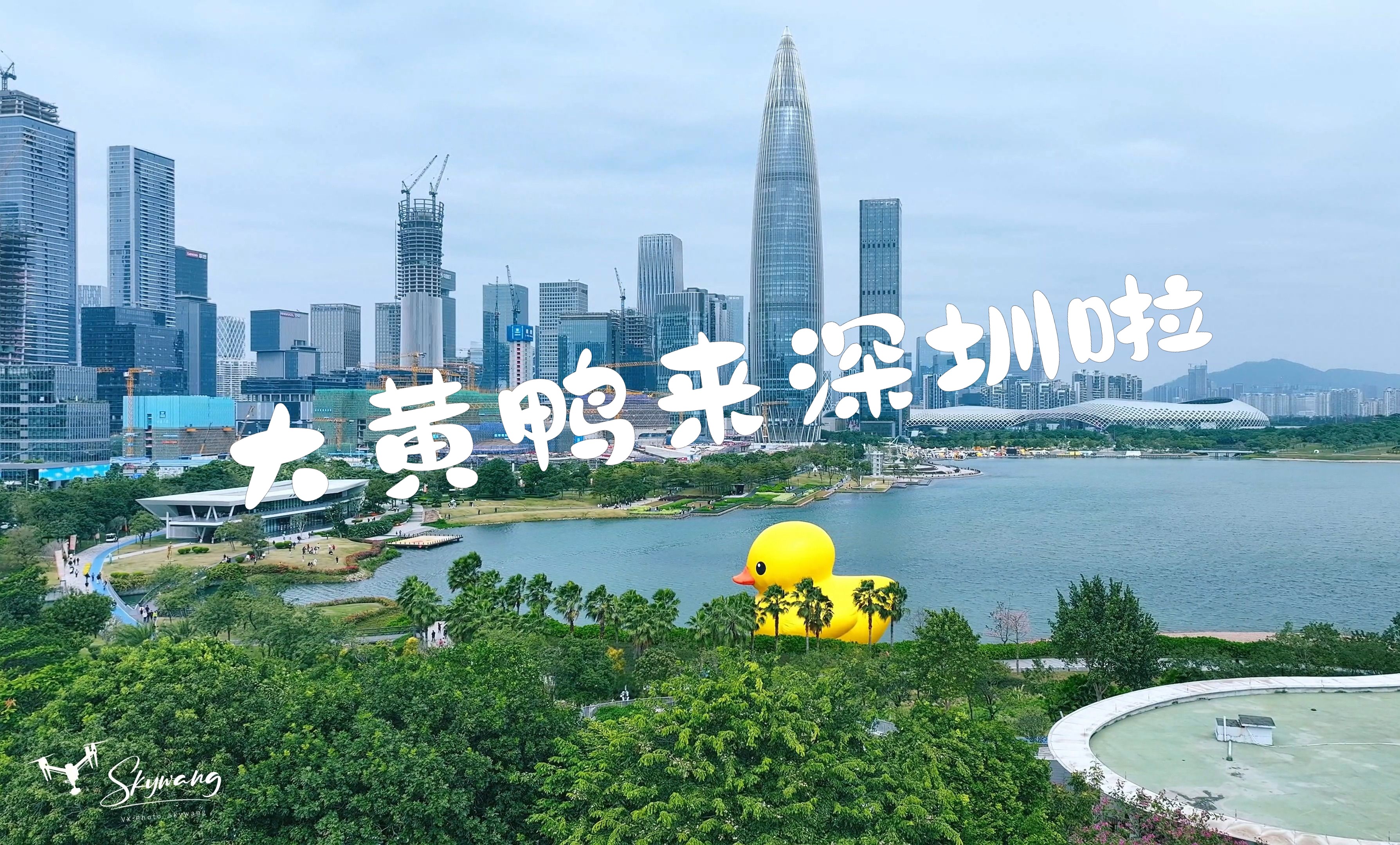 大黄鸭来深圳啦
