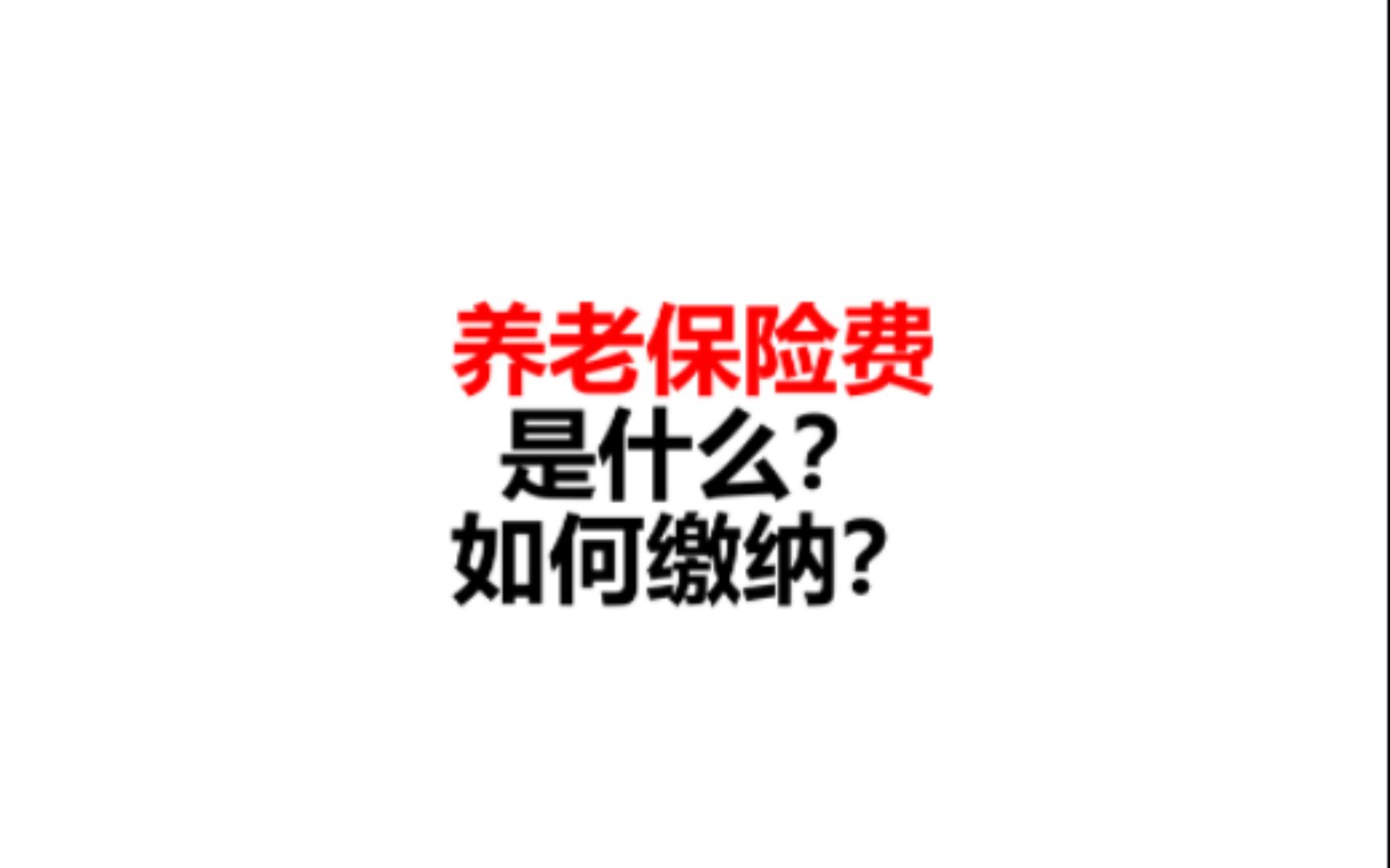 劳动者的养老保险费是什么?如何缴纳?哔哩哔哩bilibili