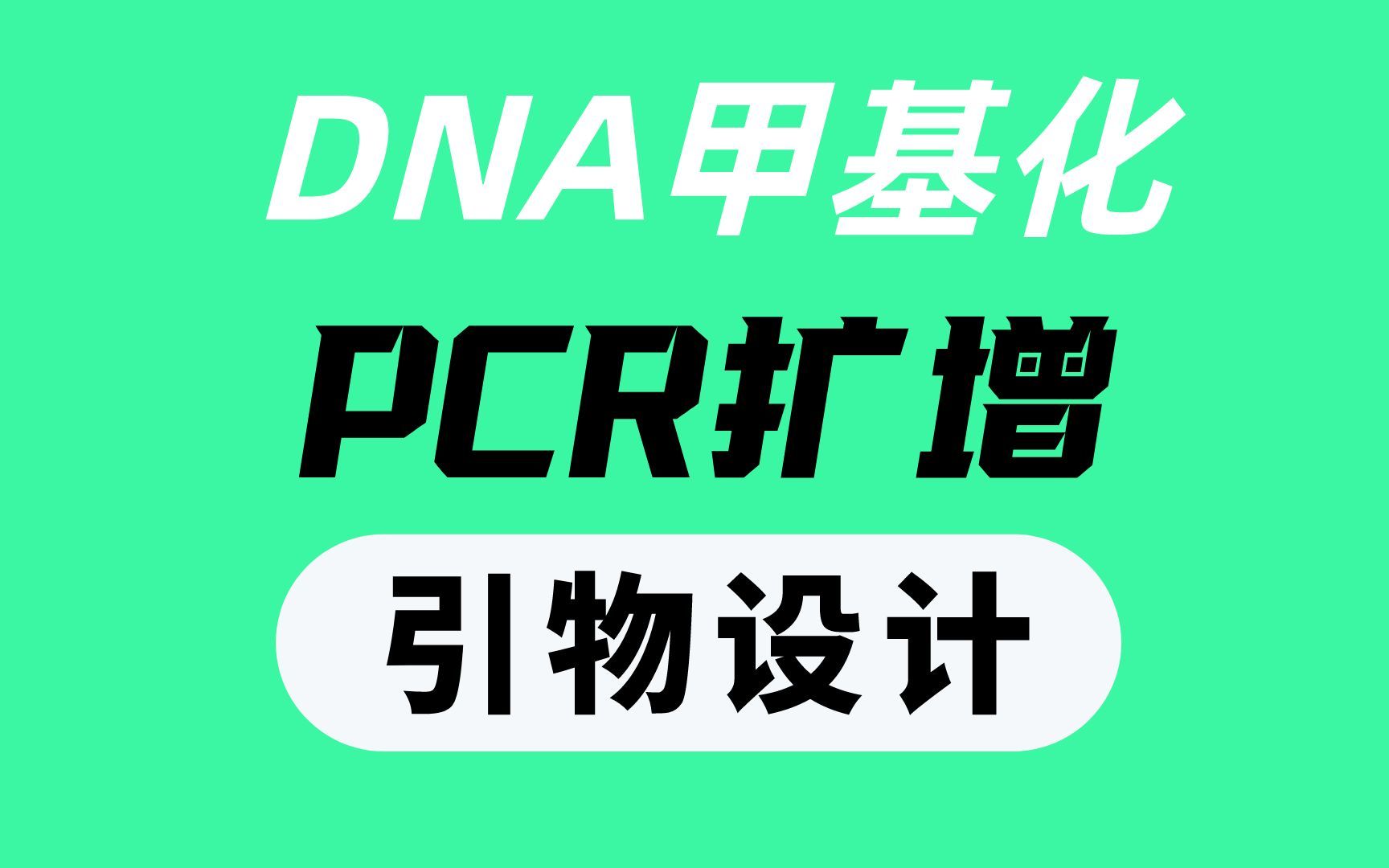 DNA甲基化,PCR扩增目的基因实验操作全攻略哔哩哔哩bilibili