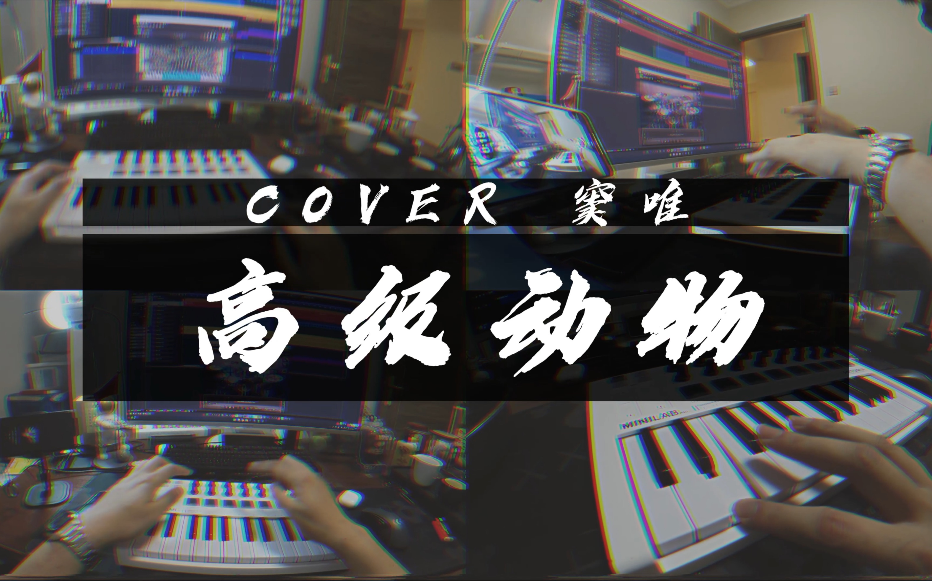 《高级动物》 cover 升仙之前的窦唯