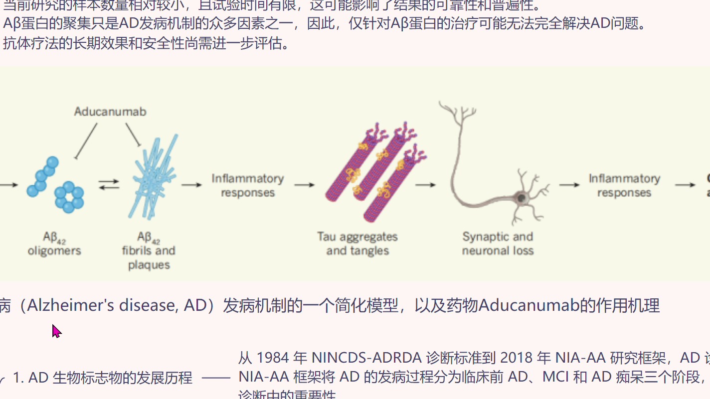 文献汇报33攻击淀粉样蛋白“”哩哔哩bilibili