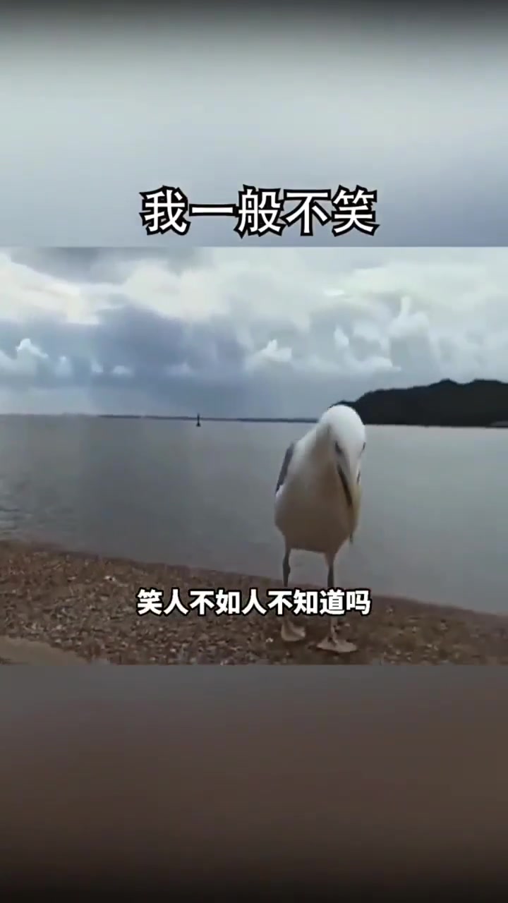 大天搞笑配音
