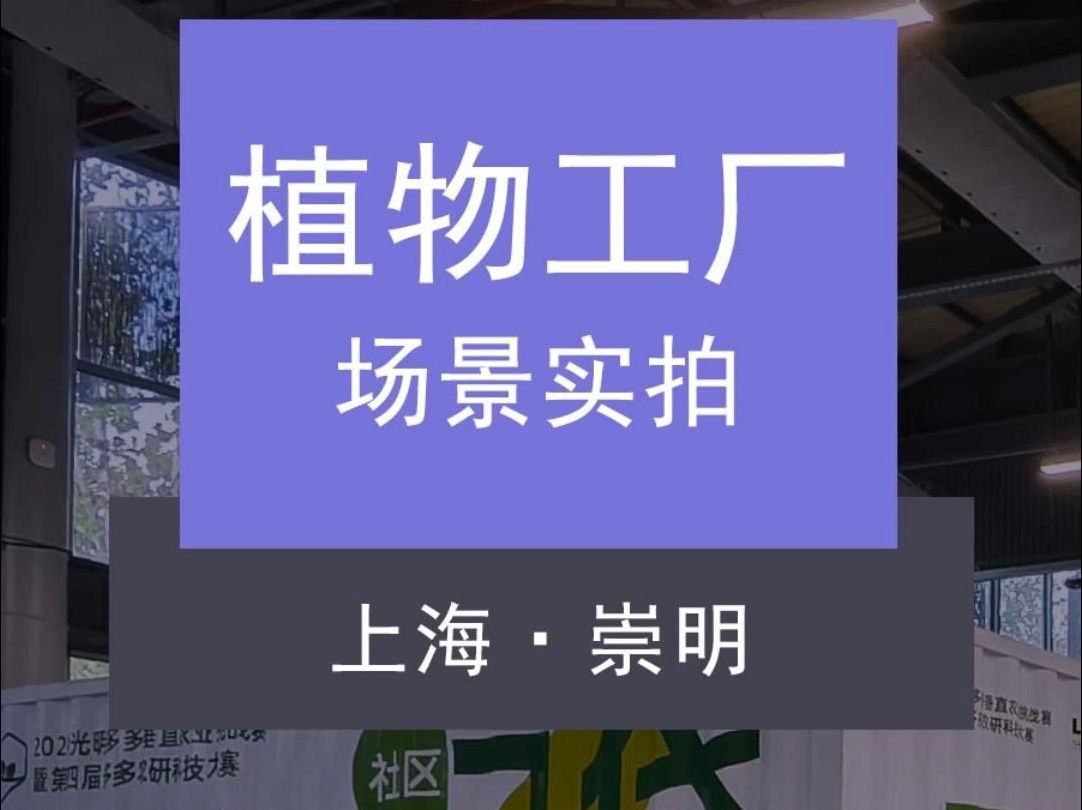 植物工厂场景实拍 上海崇明 叶菜侠科技哔哩哔哩bilibili