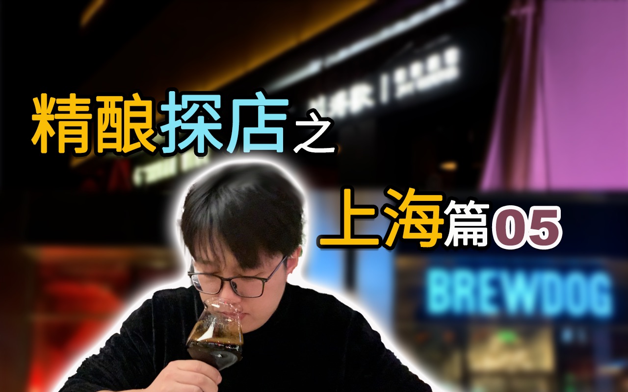 【探店】大家极力推荐的两家上海精酿啤酒吧哔哩哔哩bilibili