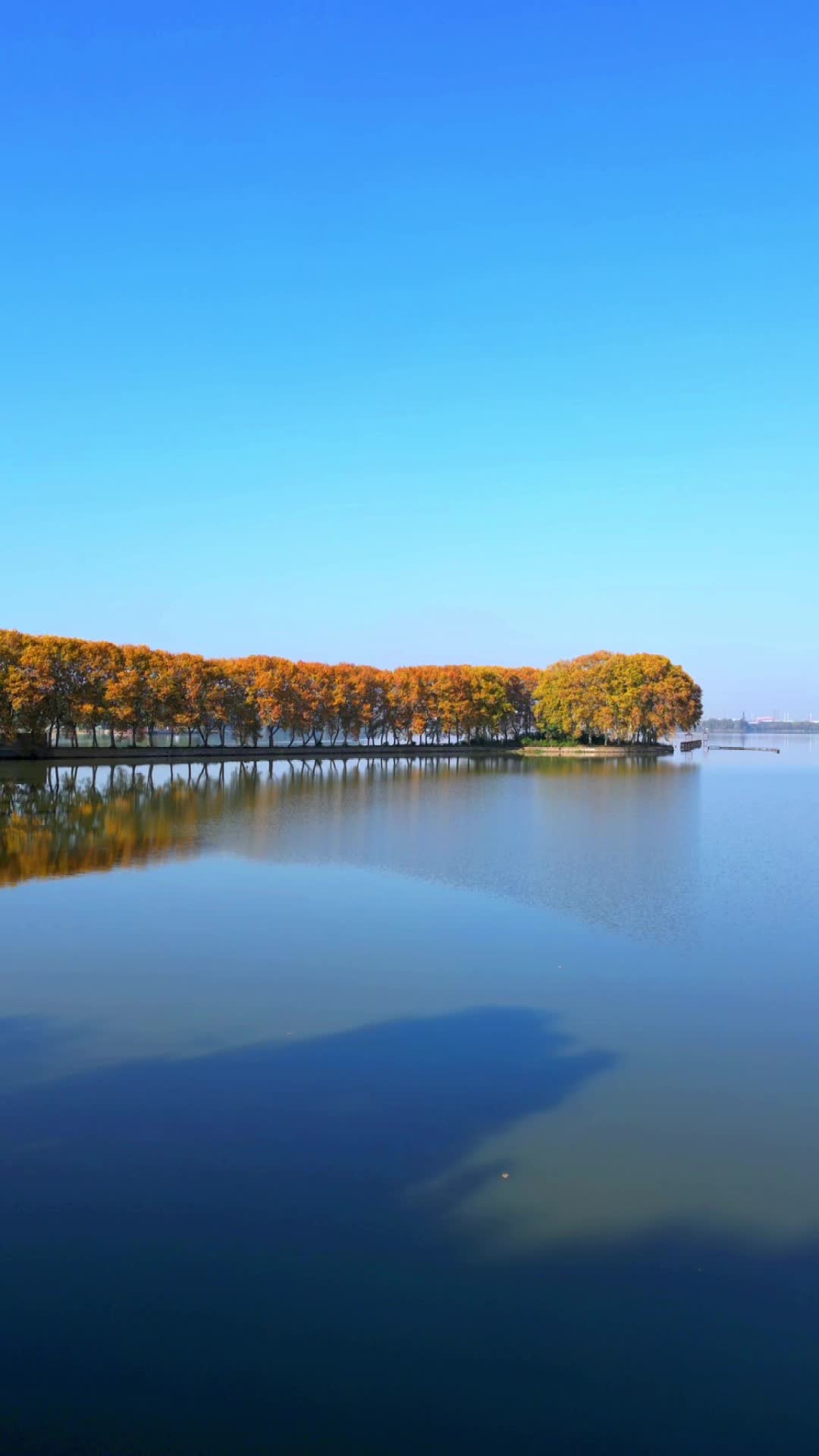 武汉旅游攻略  武汉的冬天有多浪漫  东湖  治愈系风景