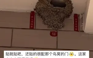 下载视频: 主人为家门口的鸟窝贴上春联，网友：中国好房东！