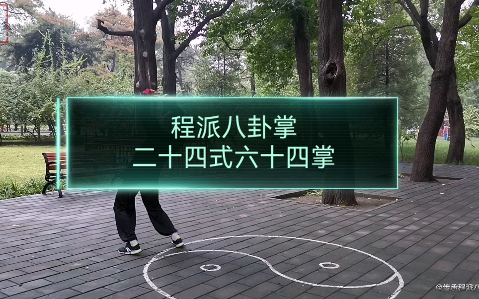 程派八卦掌,完整套路.哔哩哔哩bilibili