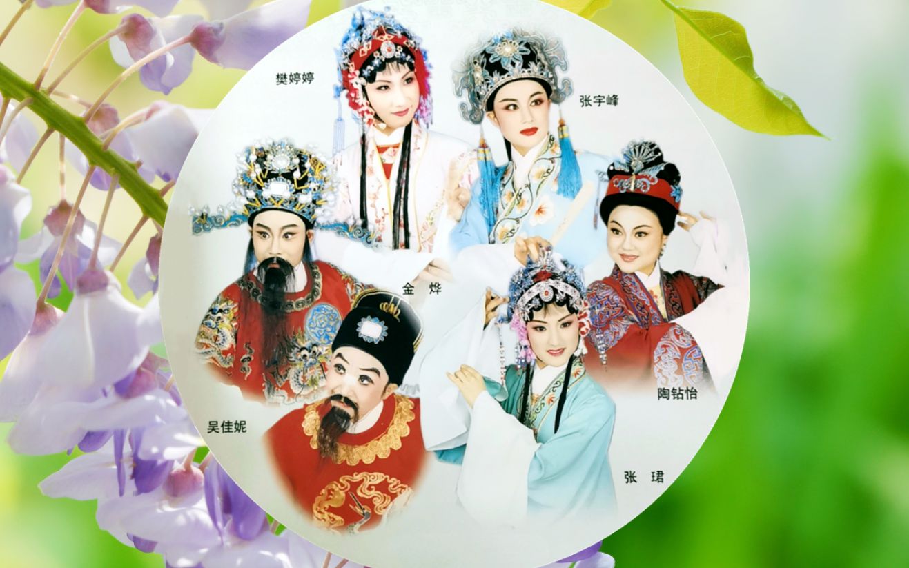 上海越剧院红楼剧团《盘夫索夫》vcd完整版(樊婷婷 张宇峰 张珺 金烨
