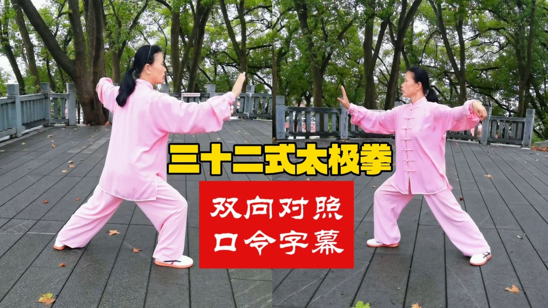 三十二式太极拳正面背面双向对照演示完整版带吴阿敏版口令字幕