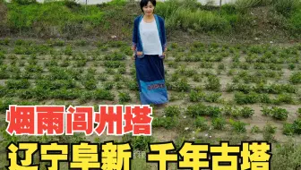 辽宁阜新 烟雨闾州塔