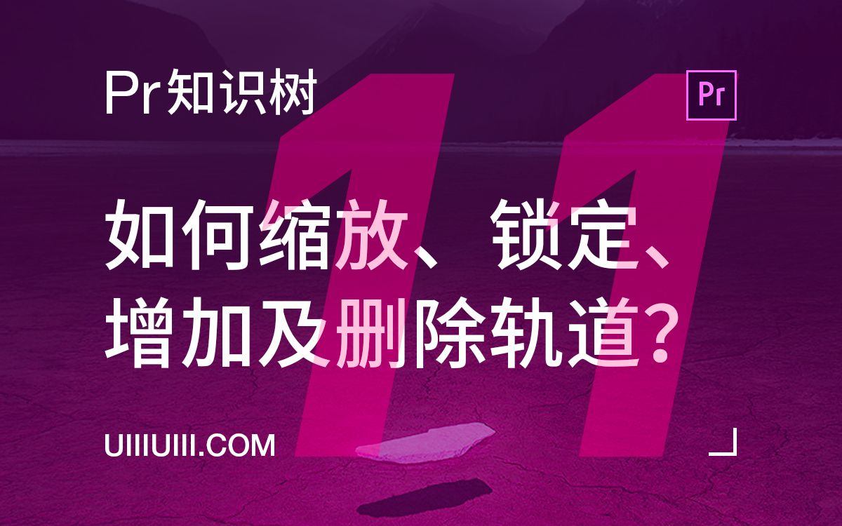 【Premiere知识树】NO. 11 如何缩放、锁定、增加及删除轨道?(11/60)哔哩哔哩bilibili