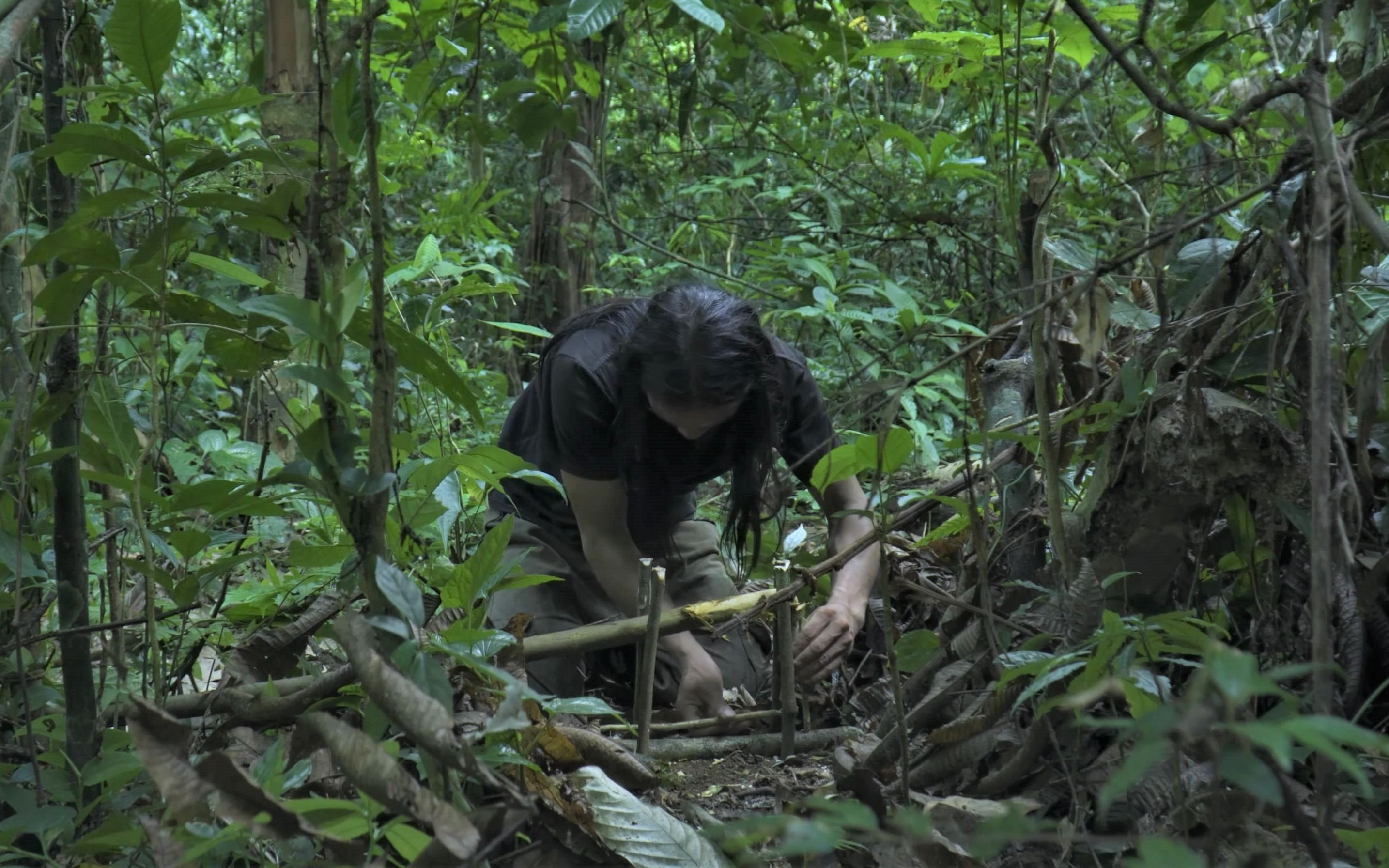 但它是生存的食物,生存本能,独自荒野,荒野求生,野外生存