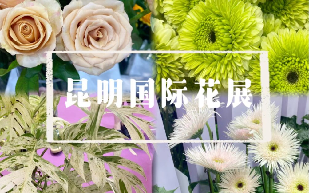 植物大赏看展记录:昆明国际花卉展哔哩哔哩bilibili