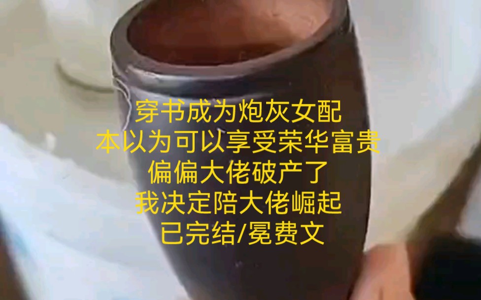 穿书成为炮灰女配,本以为可以享受荣华富贵,偏偏大佬破产了,我决定陪大佬崛起.冕费文已完结.名《心月破产》哔哩哔哩bilibili