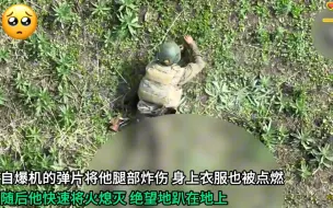 下载视频: 俄士兵遭乌军FPV无人机贴身自爆，痛苦挣扎后陷入绝望