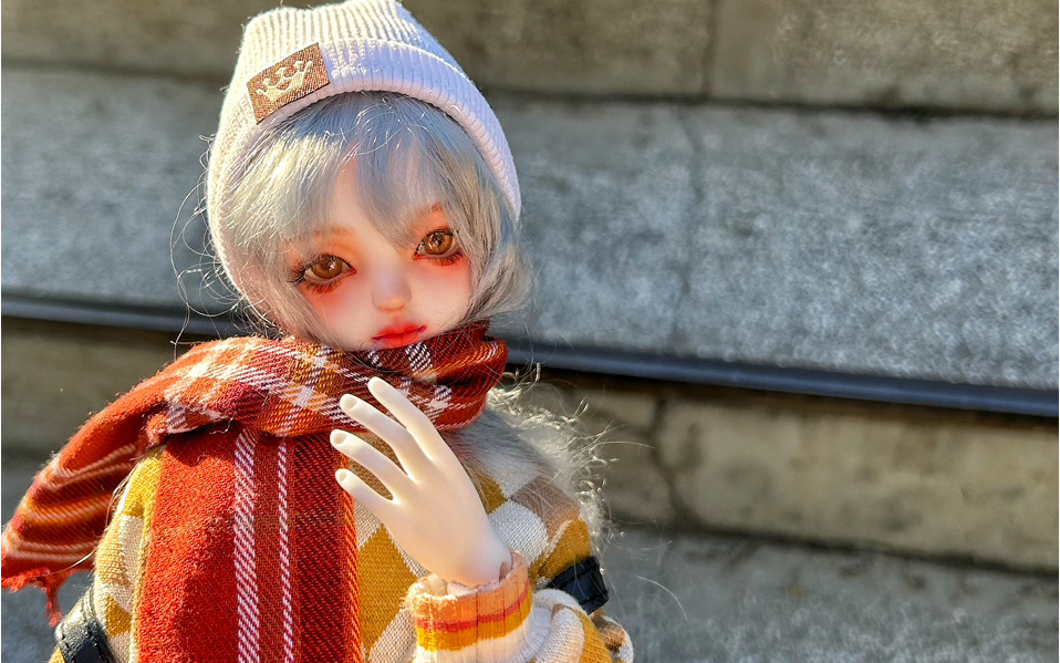 论——cd小兔仙的日常可塑性