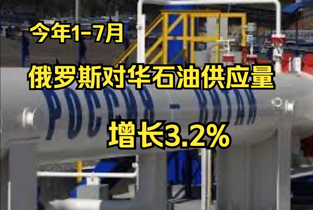 中国海关总署:今年17月俄罗斯对华石油供应量增长3.2%哔哩哔哩bilibili