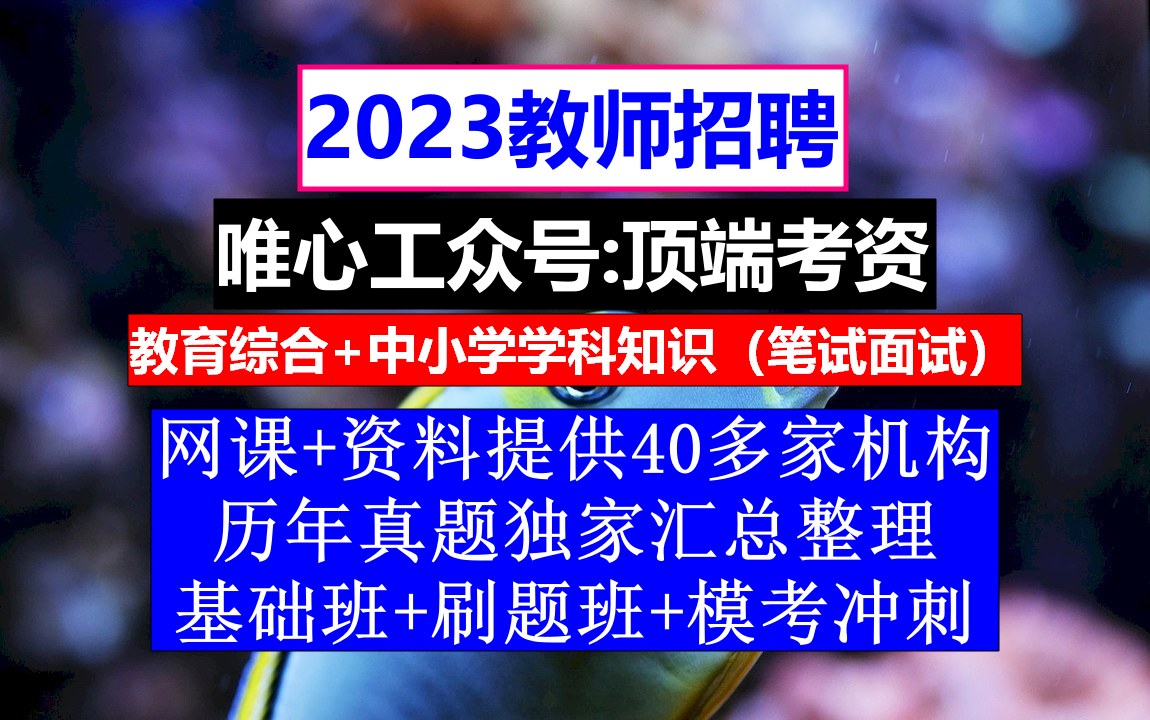 教师招聘,事业编考试题库及答案,小学英语教师求职简历模板范文哔哩哔哩bilibili