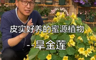 蜜源植物 搜索结果 哔哩哔哩弹幕视频网 つロ乾杯 Bilibili